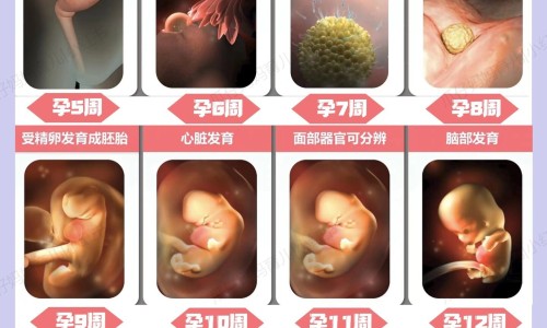 梦见小侄女身上溃烂网 :分享梦见侄子身上好多血-梦见侄子身上长满了红疙瘩知识